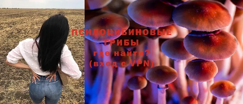 Галлюциногенные грибы Magic Shrooms  Алексеевка 